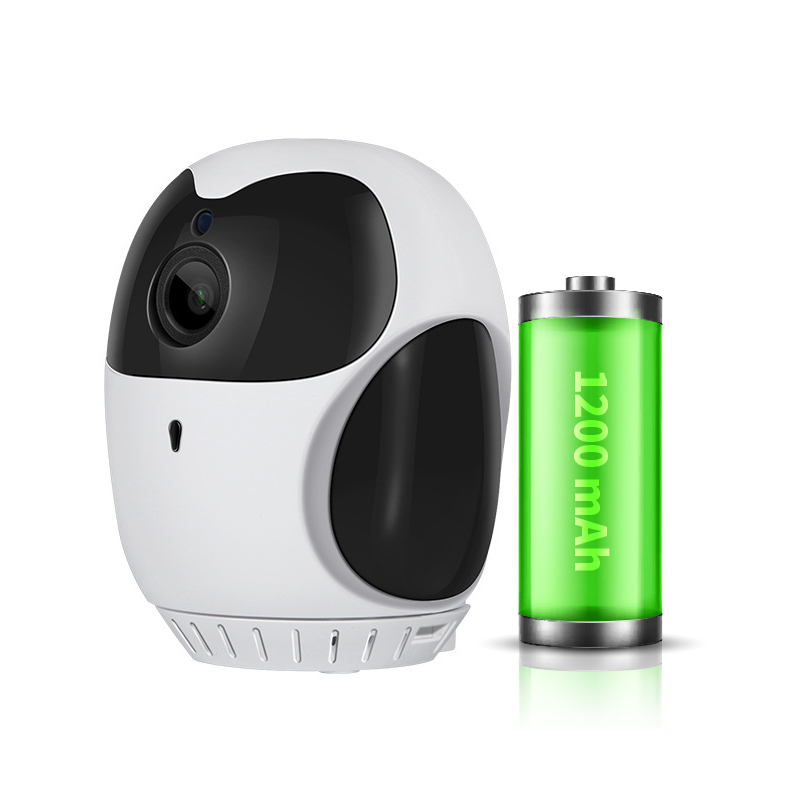 D1 MINI Camera